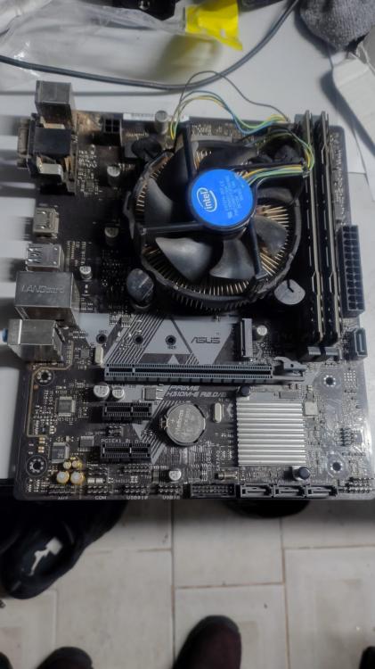 WhatsApp Image 2025-10-08 at 22.57.27.jpeg